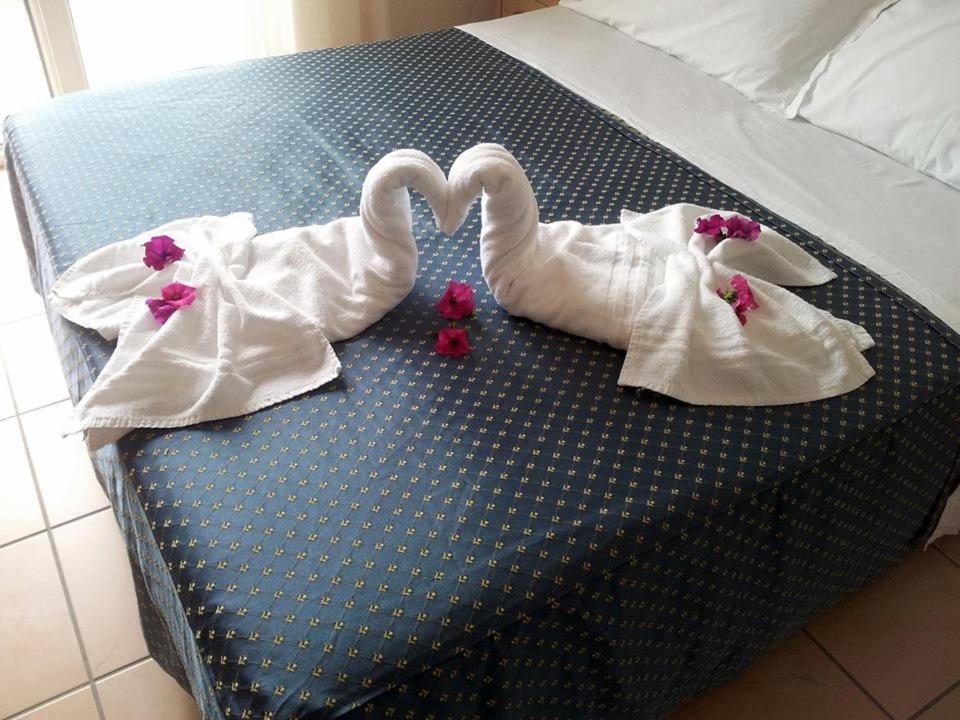 Souvenir - Koolibry Hotel 3*